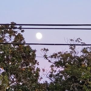 Meet your Posher, Carl